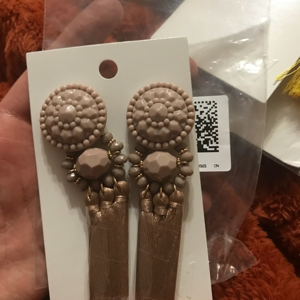 Earrings